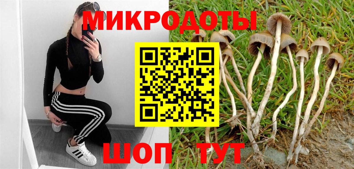 Псилоцибиновые грибы ЛСД Геленджик